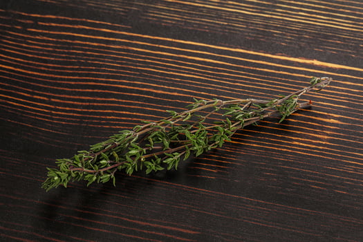Thyme - aromatic seasoning herbal plant photo