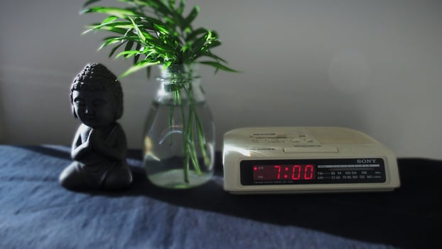 a Buddha, a clock, and a vase with a bamboo plant in it photo