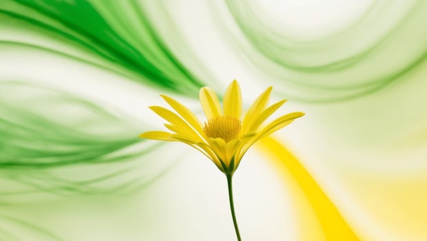 Yellow Flower with Swirling Green and Yellow Background. photo