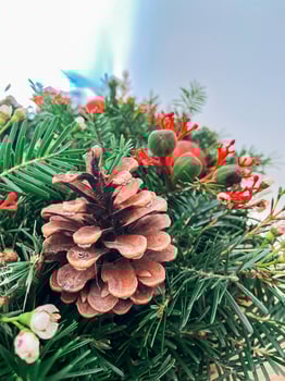 Close-up Christmas wreath of fresh spruce and cones. Decorations and holidays concept photo