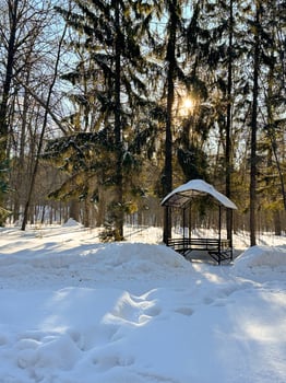 solitary gazebo stands amidst a snowy forest under the soft glow of the sun. the winter scene evokes tranquility and serene beauty photo