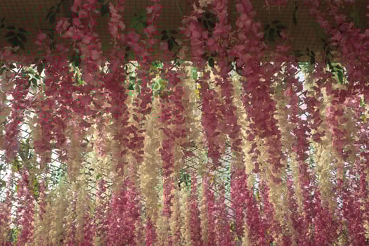 A bunch of pink flowers hanging from the ceiling photo