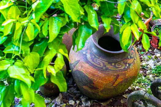 Beautiful garden with decoration vases plants and flowers Costa Rica. photo