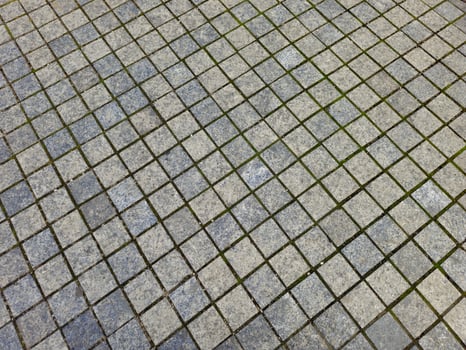 a tiled floor with grass growing on it photo