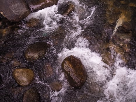 The stream flowing through the rocks in forest. photo