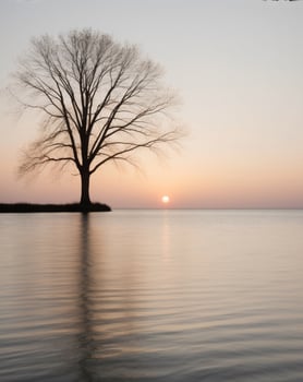 Tranquil Sunrise Over Calm Water and Lone Tree. photo