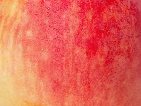 Red and yellow apple texture with water drops as background. photo