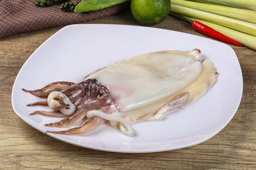 Raw fresh cuttlefish for cooking photo