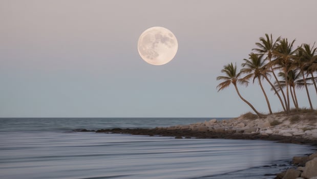A full moon rises over palm trees on the beach photo