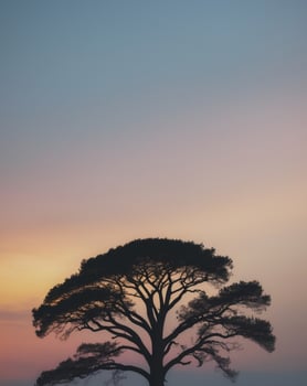 A lone tree stands in the middle of a field at sunset photo