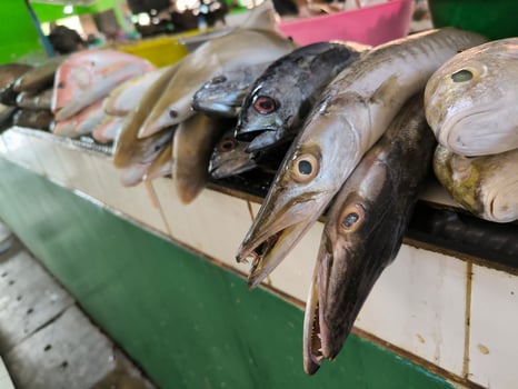 Fresh fish caught by fishermen for sale at the Depok fish market, Bantul Regency, Indonesia. photo