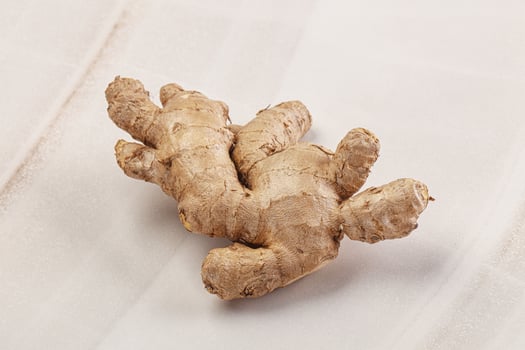 Ginger root for cooking and medicine photo