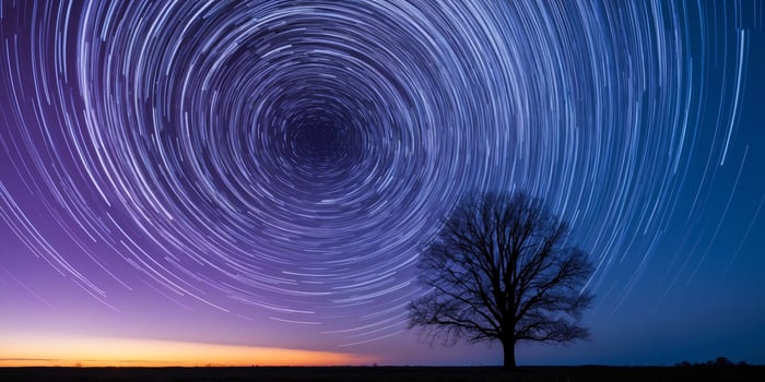 Night sky with stars and silhouette of a tree. Star trail. photo