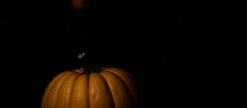 single pumpkin against a black background photo