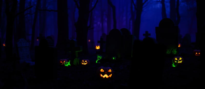 illuminated jack-o'-lanterns a dark forest photo