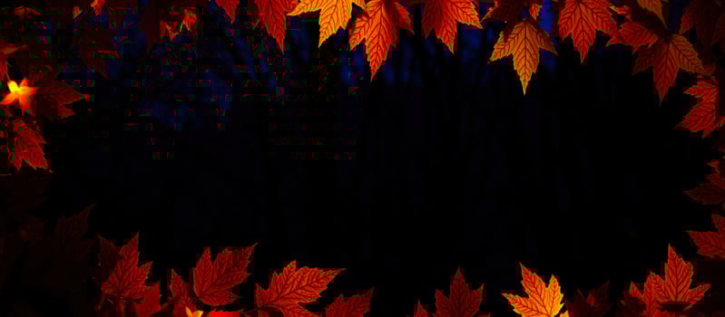 frame vibrant fall leaves photo