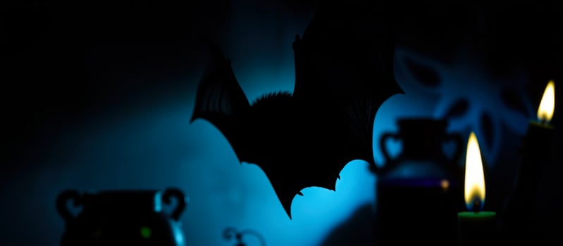 bat silhouette with burning candles photo
