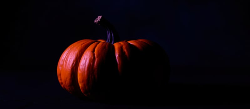 luminous pumpkin against a dark background photo