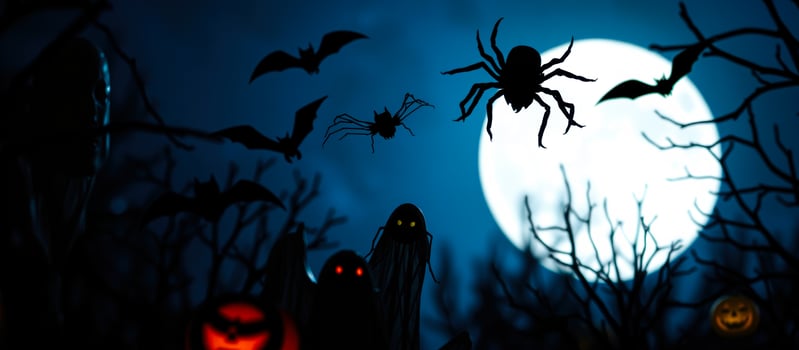 spooky halloween night with full moon flying creatures photo