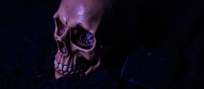 human skull cast blue light photo