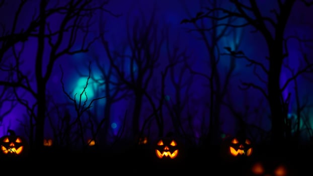 glowing jack-o'-lanterns a dark forest setting photo