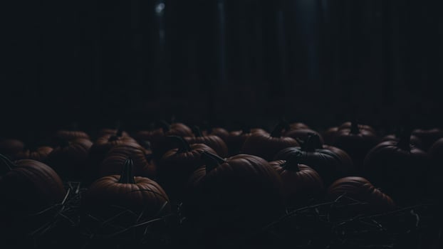 cluster ripe pumpkins bathed soft light photo