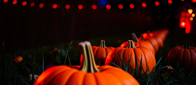 close- a pumpkin with a festive glow photo