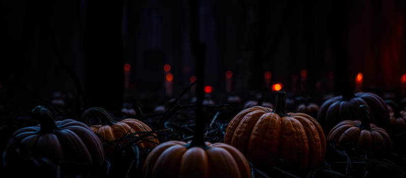 collection pumpkins glowing a dark forest photo