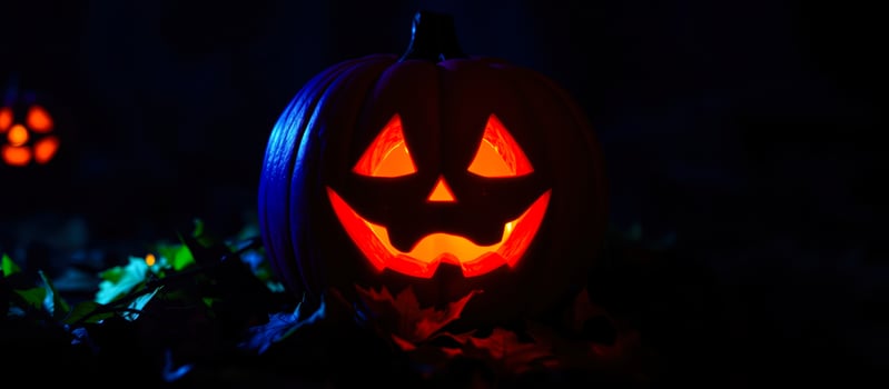 luminous jack-o-lantern glows the dark photo