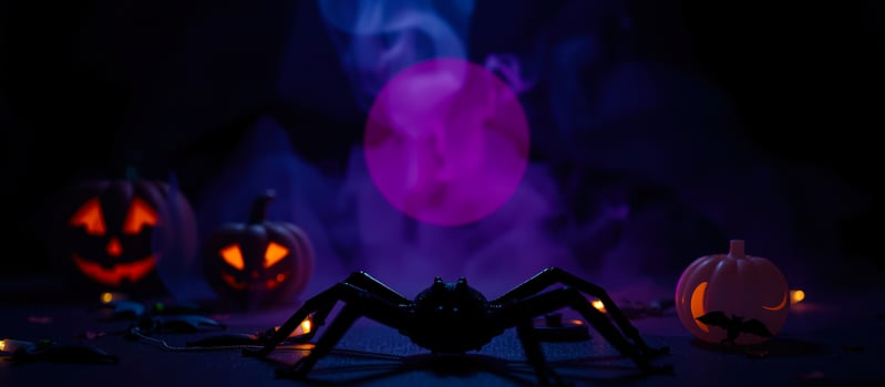 black spider poses before glowing pumpkins photo