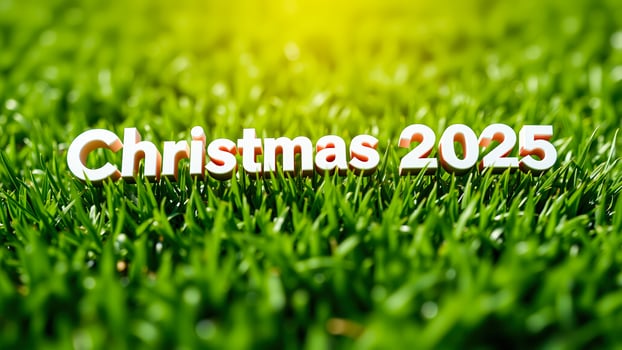 white letters spell out christmas 2025 on green grass photo