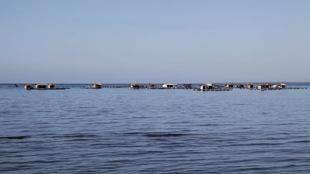 Floating Wooden Fish Farms on Calm Blue Waters Under Clear Sky Near Coastal Village photo