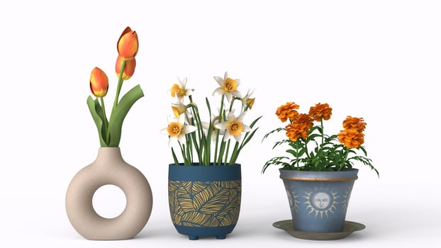 pots and vase with flowers with white background photo