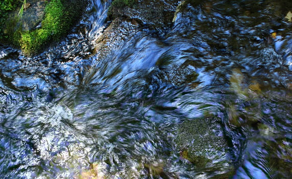 Running water of a small mountain river among mossy stones photo