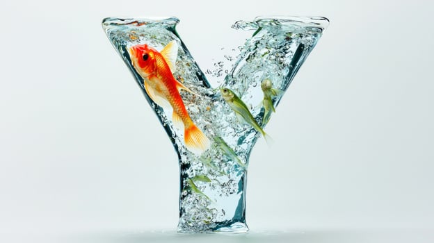stunning glass letter Y reveals a vibrant underwater scene, complete with lively fish swimming through clear water, creating an artistic aquatic display. photo