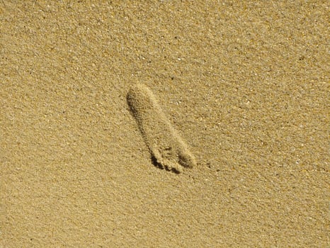 Fine golden sand covering a beach during a sunny day with clear skies, creating a serene and tranquil atmosphere for relaxation photo