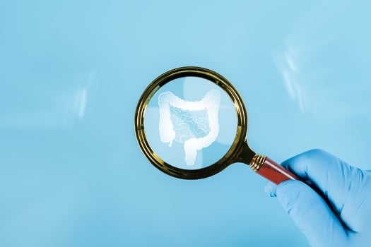 Mockup of a human with internal organs and red intestines under a magnifying glass on a blue background. photo
