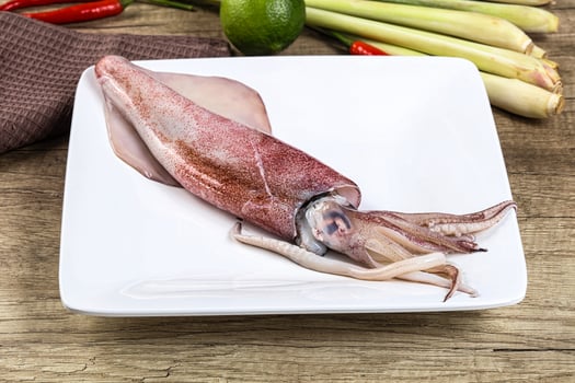 Raw fresh squid for cooking photo