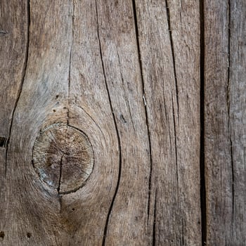 Close up of a wooden wall with a knot photo