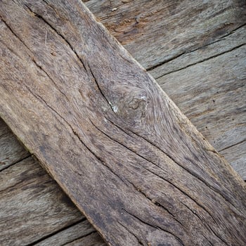 A close up of a wooden plank with a knot photo