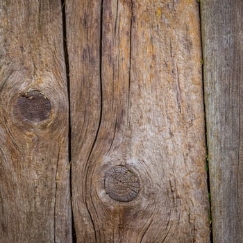 A close up of a wooden wall with some knots photo