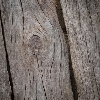 Close up of a wood panel with a hole in it photo