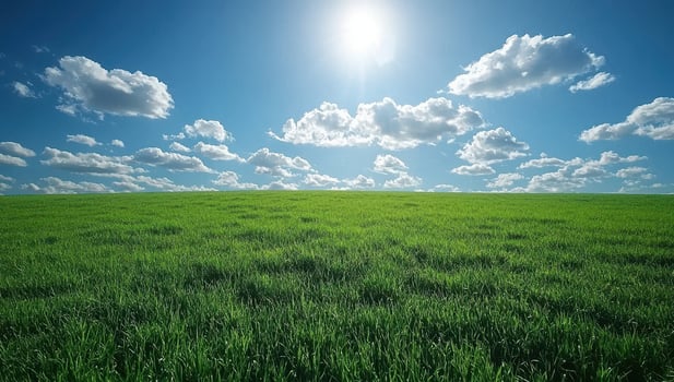 Green Grass Field Under Sunny Blue Sky with Clouds. Concept of Nature, Spring, Summer, Environment, and Freedom photo