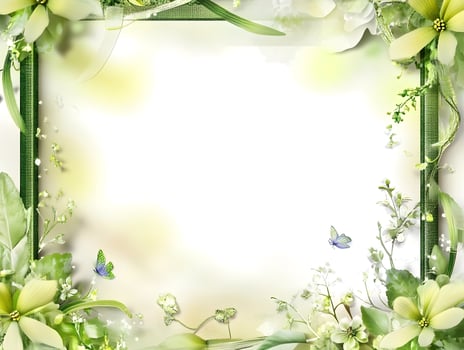 Green Floral Spring Flower Frame Decorative border photo