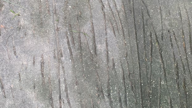 concrete wall abstract background texture cement grey gray backdrop old. photo