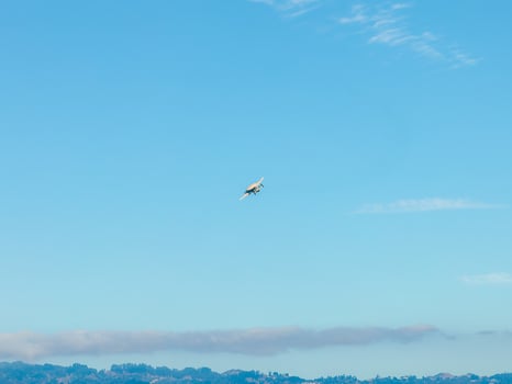 Aerial View of Airplane Over Hilly Landscape Near San Francisco photo
