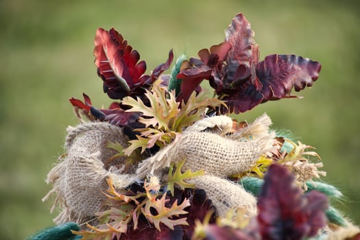 Autumn harvest arrangement with dried flowers and textured fabric photo