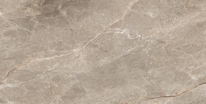 A close up of a marble floor with a white background photo