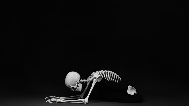A skeletal figure positioned on the ground in a dramatic pose against a dark background showcasing anatomy and movement photo