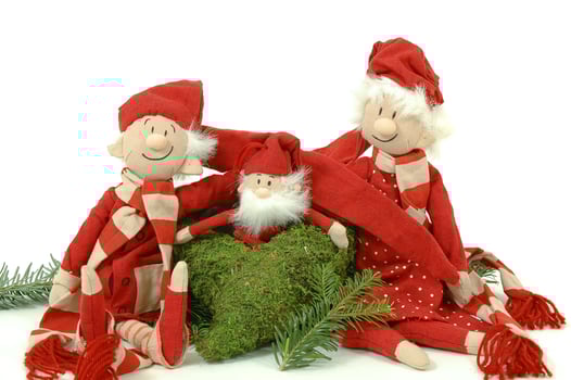 A christmas family photo